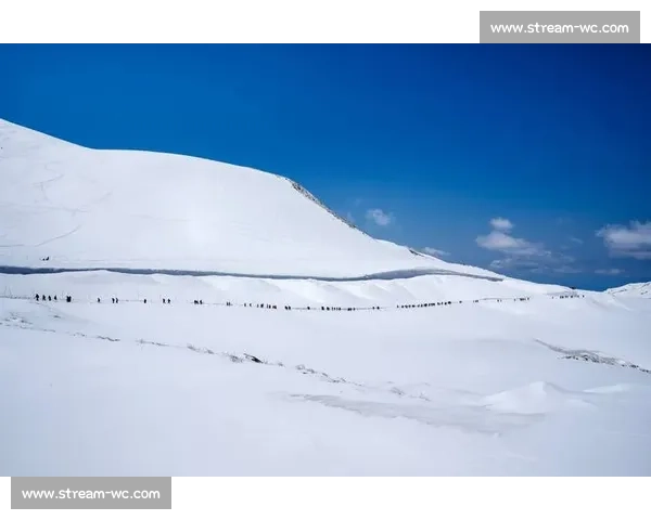 冰雪运动热度不减！政策如何助力“北雪南展”