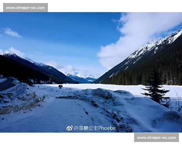 温哥华的呐喊,回响在世界的每一个角落! 温哥华的呐喊,回响在世界的每一个角落!